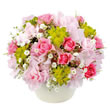 東京都渋谷区Ｆｌｏｒｉｓｔ　ＩＧＵＳＡの花　