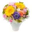東京都渋谷区Ｆｌｏｒｉｓｔ　ＩＧＵＳＡの花　