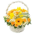 東京都渋谷区Ｆｌｏｒｉｓｔ　ＩＧＵＳＡの花　