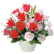 東京都渋谷区Ｆｌｏｒｉｓｔ　ＩＧＵＳＡの花　