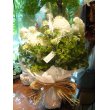 東京都渋谷区Ｆｌｏｒｉｓｔ　ＩＧＵＳＡの花　おまかせ花束10000円【当日配達可能⇒代官山・中目黒・恵比寿・渋谷】