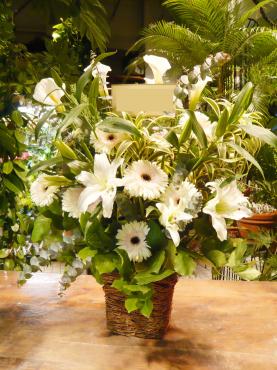 WHITE! その２｜「Ｆｌｏｒｉｓｔ　ＩＧＵＳＡ」　（東京都渋谷区の花キューピット加盟店 花屋）のブログ